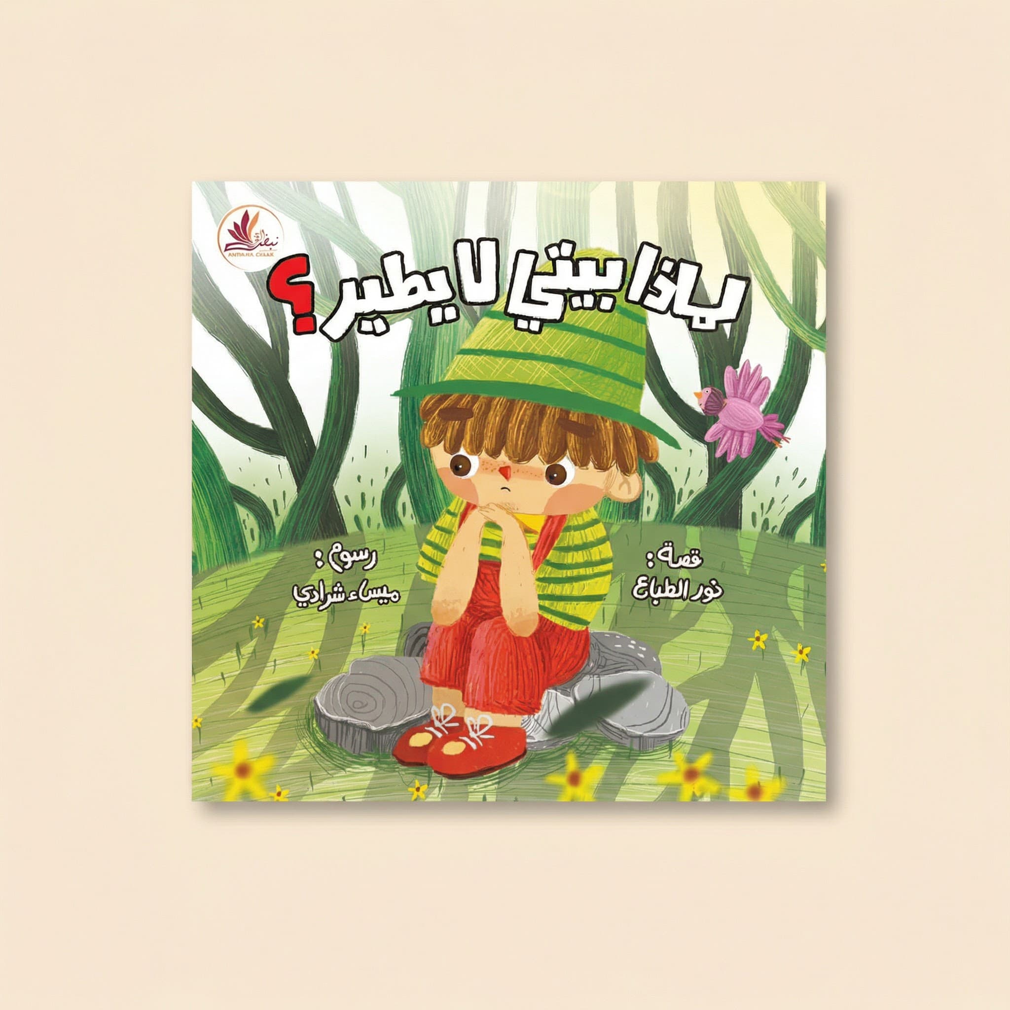 لماذا بيتي لا يطير ؟